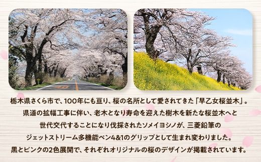 【数量限定】さくら市オリジナル「ジェットストリーム多機能ペン4&1」｜三菱鉛筆　ジェットストリーム　桜　サクラ　ソメイヨシノ　桜並木　文房具　栃木県　合格祈願　プレゼント