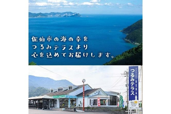 さいきの海の幸Aセット (6種) 鯵 カマス ブリカマ うるめいわし ちりめん 魚 干物 海産物 加工食品 セット 詰め合わせ 大分県 佐伯市【EW014】【(株)Up】