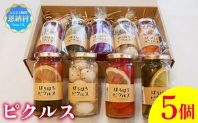 【ペンションほろほろ】ピクルス 5個セット