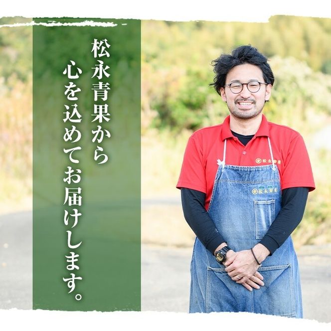 鹿児島県産 スイカ(2玉) 国産 果物 スイカ すいか 西瓜 ジュース スムージー 祭ばやし 縞王 紅まくら 黒小玉スイカ 期間限定【松永青果】akn053-31