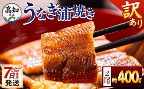 うなぎ 蒲焼き 2尾 計400ｇ 高知県産 鰻 フジ物産 国産 養殖 【7日程度で発送】 fb-0206