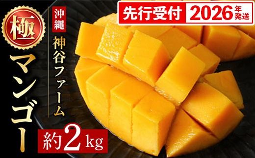 yꌧdzyϔzystE2026Nz_Jt@[̃}S[iɁj2Kg - s\ ꌧY Yn 썑t[c {̖o G߂̉ʕ 蕨 Mtg ꌧ d