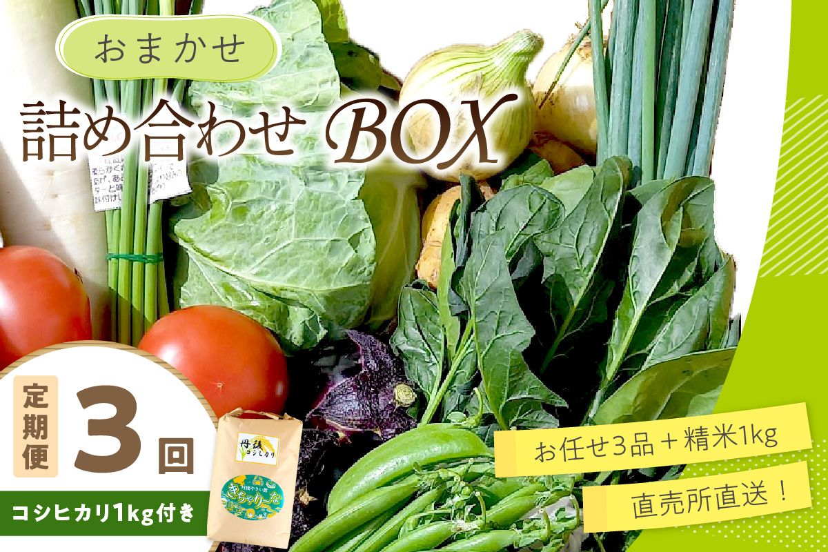 直売所直送[訳あり] 「京都・京丹後産 季節の野菜」お任せ詰め合わせBOX(3品)+コシヒカリ精米1kg 定期便3回