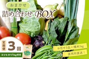 直売所直送【訳あり】 「京都・京丹後産 季節の野菜」お任せ詰め合わせBOX（3品）＋コシヒカリ精米1kg 定期便3回　JA00076