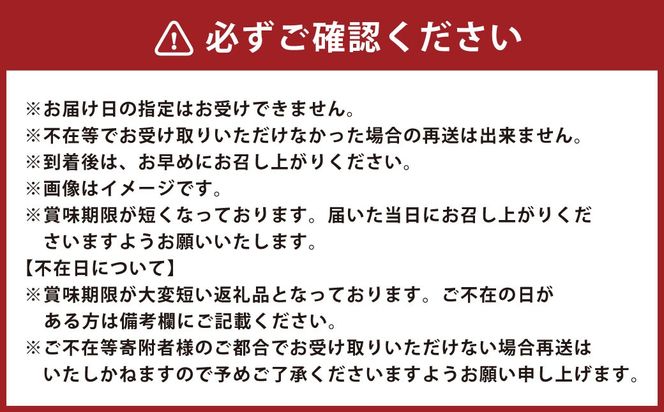 北海道 豊浦 ビックメロンパン おまかせパン12個セット 