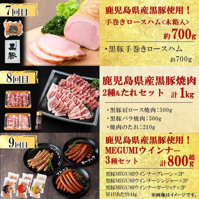 【定期便・全12回】ナンチクのお肉を楽しむ定期便！ナンチク厳選コース！ 総量8.5kg超! t0165-001