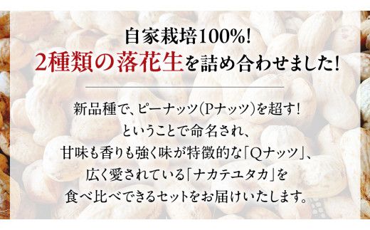 【2025年11月以降発送】牛久市産落花生Ｑナッツセット Qなっつ Qなっつ ピーナッツ ピーナツ ナカテユタカ 中手豊 殻付き おやつ お菓子 おつまみ お取り寄せ 詰め合わせ お土産 贈り物 ギフト プチギフト 国産 茨城 特産品 農園 自家栽培 ビールのお供 [AX004us]