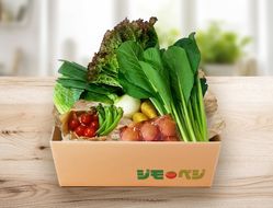 a15-677　【定期便 全2回】ジモベジ 野菜 ハーフセット