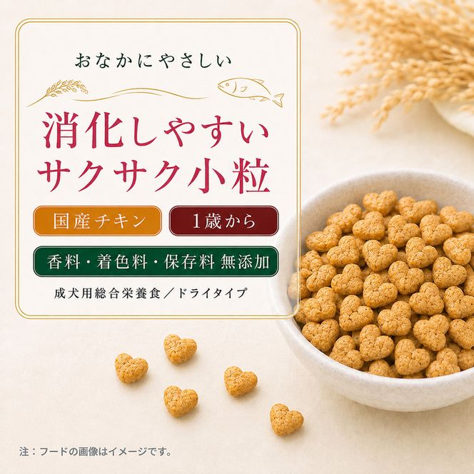 ビューティープロ ドッグ おなかの健康 1歳から 2.3kg ｘ4(ケース単位) ドッグフード