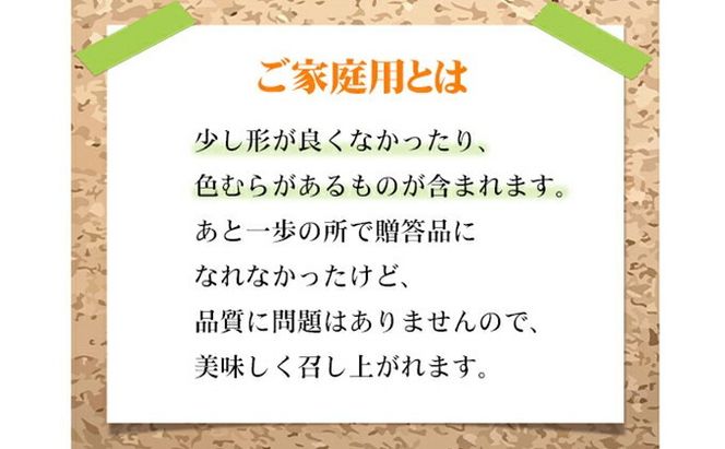 ぶどう 2026年 先行予約 ご家庭用 ニュー ピオーネ 3～6房 約1.5kg ブドウ 葡萄 岡山県産 国産 フルーツ 果物 岡山のぶどう 旬のフルーツ 旬の果物 大粒 種無し