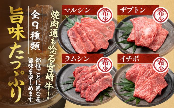 【数量限定】宮崎牛9種盛り焼肉セット_22-31-006-600g