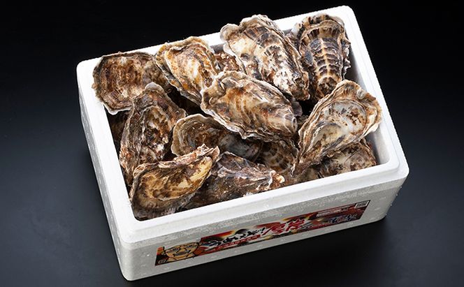 2か月 定期便 北海道 厚岸産 殻付牡蠣の食べ比べセット！（生食用）  牡蠣 カキ かき 生食 生食用 生牡蠣  食べ比べ 魚貝類 