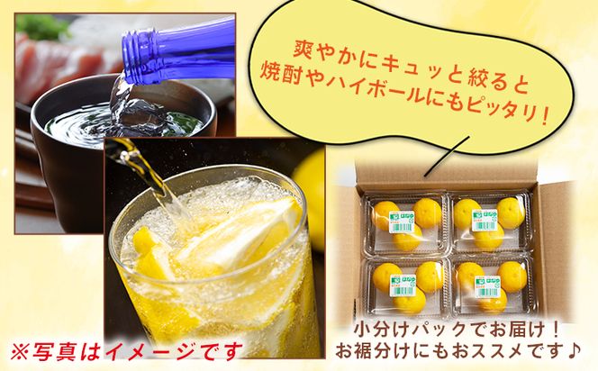 ゆず 【2026年11月以降順次配送】虎弥太郎 はなゆ黄玉 ８パック - 国産 ゆず 柚子 ユズ 花柚子 柑橘 香酸柑橘 果物 花皮果汁 フルーツ 果実 料理 酒 ハイボール 焼酎 アレンジ 焼き魚 小分け おすそ分け 高知県 香南市 冷蔵 hy-0003