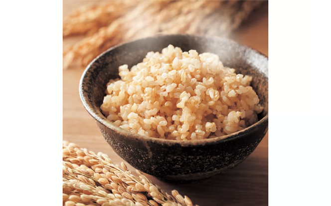 令和7年産 早炊 玄米 きぬむすめ 2kg×4袋 岡山県産　お米 国内産 ご飯 おにぎり お弁当 和食 国産 産地直送 玄米食 玄米の栄養素[№5735-1858]