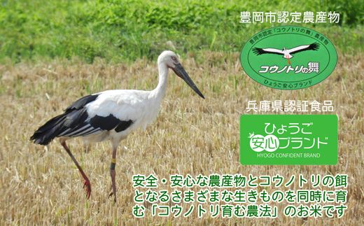 新米 六方たんぼ コシヒカリ 農薬不使用（白米：3kg）令和8年産 / 米 お米 精米 コシヒカリ コウノトリ育む農法