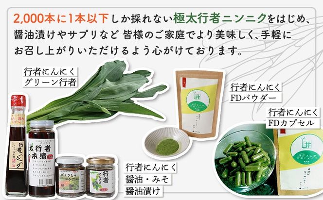 行者にんにく グリーン行者 葉部 3袋 ホワイト行者 茎部 2袋 計5袋 オンライン 申請 ふるさと納税 北海道 中標津 行者ニンニク 幻の山菜 山菜 山の幸 野菜 疲労回復 健康効果 長寿 体力増強 ダイエット 焼肉 炒め物 おかず 冷凍 中標津町【20010】