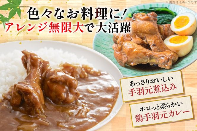 鶏肉 詰め合わせ 宮崎県産 むね肉 ささみ 手羽元 セット 各 1kg 2p 計 6kg [九州児湯フーズ 宮崎県 美郷町 31ai0022] 肉 精肉 鳥肉 とり肉 鳥 鶏 若鶏 むね ムネ肉 ムネ ササミ 手羽 真空パック 冷凍 冷凍保存 小分け