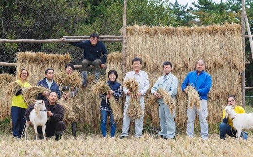 特別栽培みずほ米 ひとめぼれ 白米 10kg 【1751】