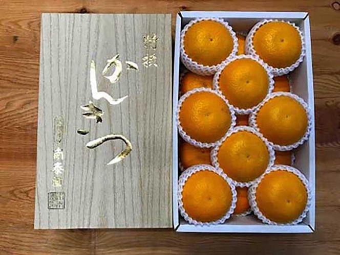 化粧箱 手詰め 有田 はっさく 特秀 L サイズ × 15玉入 2段詰 南泰園 みかん BS704