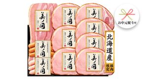 【 お中元 熨斗付 】 日本ハム 美ノ国 ギフトセットC 肉 にく 贈答 ギフト 詰め合わせ ハム  生ハム ロース ステーキ ベーコン あらびき ソーセージ ウィンナー [AA077ci]