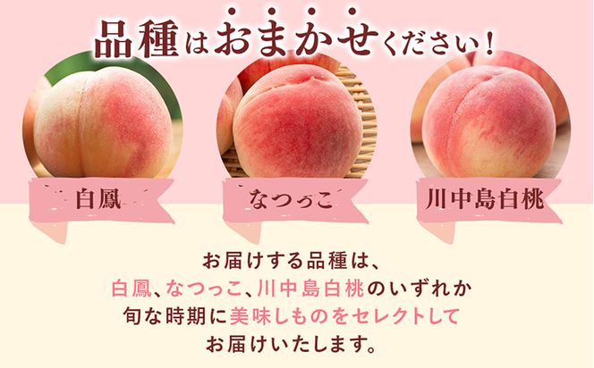 先行受付!　旬の桃　(特秀品)　約2kg　6～9個入