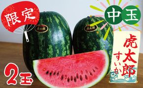 〈予約受付〉【2027年発送】夏の風物詩 中玉すいか「虎太郎西瓜」２玉 甘い 糖度 赤い さっぱり シャリ感 H141-021