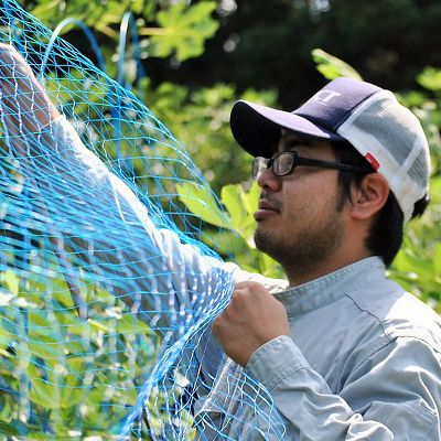 秋田の地ビール いちじくエール3本（330ml×3本） お酒 