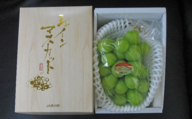 【 小豆島 】島育ち！ハウスシャインマスカット　1房化粧箱入り 600g以上 果物類 ぶどう ブドウ フルーツ 果物 