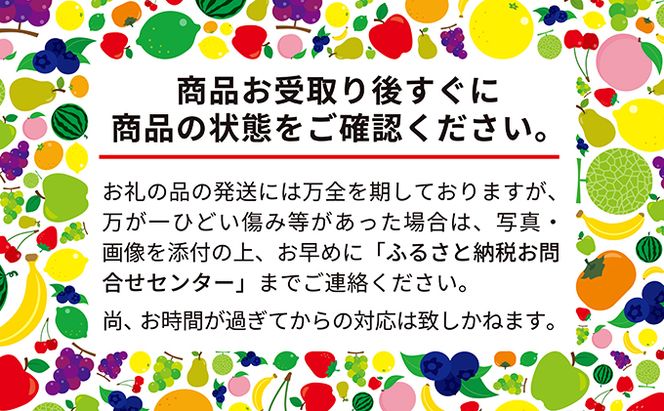 【2026年先行予約】 富良野産 いちご ほしうらら 小玉 10～12粒×2パック　［ フルーツ 果物 新鮮 贈り物 ギフト フルーツ 生いちご イチゴ 苺 大粒 甘い 道産 北海道 富良野 ］