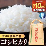 ★先行予約 令和8年産★ 米 コシヒカリ 10kg (精米) 鹿嶋市産【お米 白米 こしひかり 茨城県 鹿嶋市 30000円以内】(KDS-20)