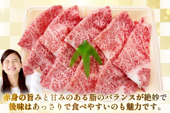 AJ585 【12回定期便】長崎和牛 リブロース しゃぶしゃぶ用 約500g [ 肉 牛肉 和牛 高級 おいしい ステーキ肉 まるしん商会 黒牛 長崎県 島原市 ]
