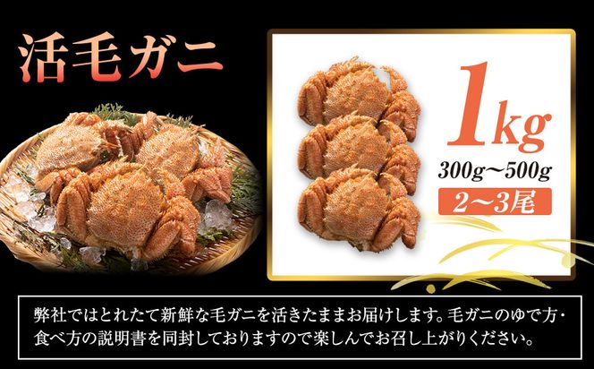  【先行予約/2026年4月発送開始】活毛ガニ　１kg　300g～500g　２～３尾 016942_AH269