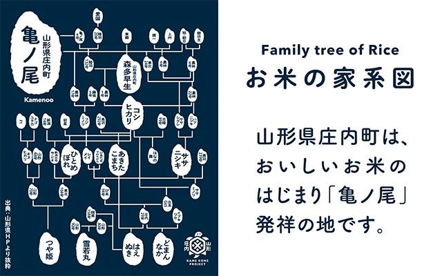【新米受付 10月発送】R7年産 石垣農園の特別栽培米 つや姫 10kg（入金期限：2025.9.15）