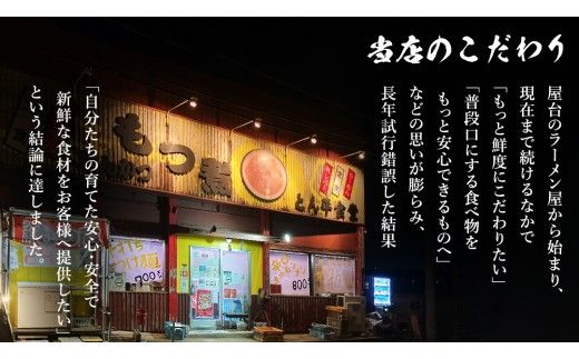 もつ煮とん平食堂のもつ煮【お徳用】 モツ 豚肉 モツ煮 煮込み おかず 惣菜 時短 グルメ お取り寄せ コラーゲン ホルモン おつまみ ビールのお供 お酒のあて 酒の肴 お土産 贈り物 お祝い ギフト 国産 茨城 おいしい 美味しい [CB002us]