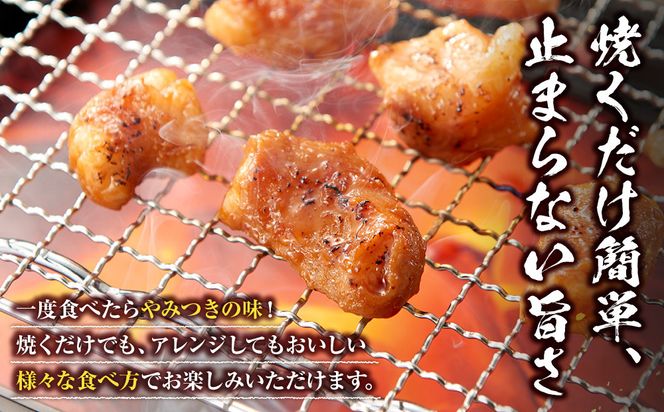 ＜訳アリ＞牛マルチョウ　特製味噌漬け　1.8kg(300g×6）【2026年9月発送】 141305_KZ32VC09