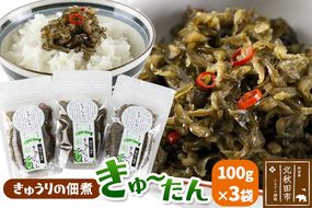 きゅうりの佃煮 きゅ～たん 100g×3袋|minf-010301