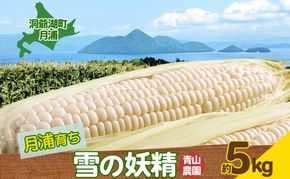北海道 洞爺湖町 月浦 雪の妖精 5kg 先行受付 8月下旬～9月下旬頃にお届け とうもろこしトウモロコシ とうきび スイート コーン 旬 野菜 甘い 大粒 人気 朝採り 産地直送 青山農園 送料無料 洞爺湖 