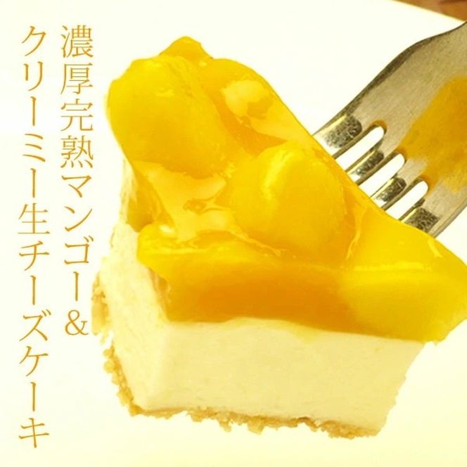 お誕生日ケーキ　マンゴー レア チーズケーキ 5号 4-6人分　パティスリー天使のおくりもの ※離島への配送不可