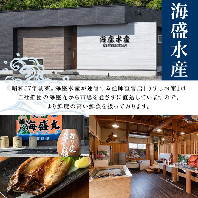 訳あり！船内凍結さばフィレ(計2kg・サイズ不揃い/骨取り済み) 魚介 海産物 さば サバ 鯖 フィレ フィーレ 下処理不要 ご家庭用 急速冷凍 おかず お弁当 小分け 鮮度 【海盛水産】akn060-08