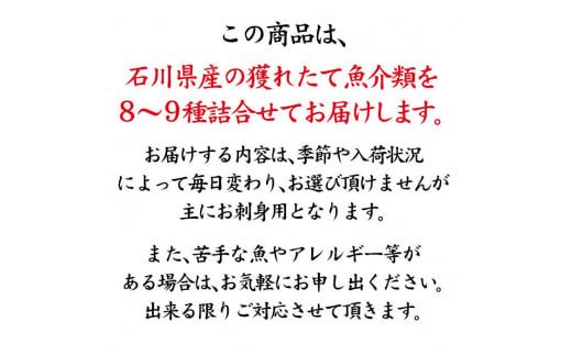 旬の鮮魚詰合せ 8～9種 下処理済み 旬 獲れたて 鮮魚 刺身用 詰合せ セット 海産物 海の幸 魚 魚介 おかず おつまみ 肴 国産 食品 復興 震災 コロナ 能登半島地震復興支援 北陸新幹線 F6P-0039
