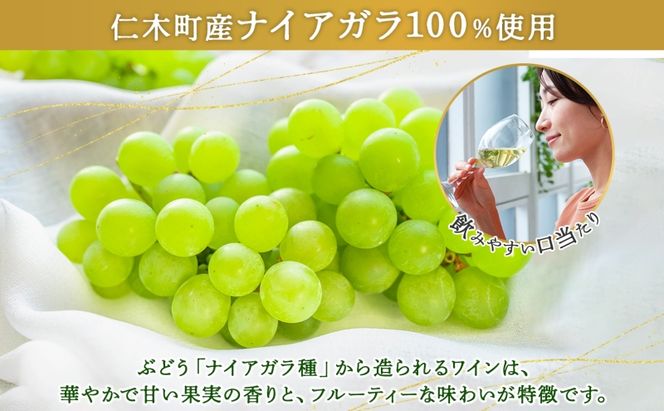 北海道産 スパークリング ワイン 750ml 1本 KPワイン Tテロワール ぶどう ナイアガラ 葡萄 ブドウ 白ワイン 辛口 酒 お酒 贈答 贈り物 お祝い ギフト 記念日 送料無料 