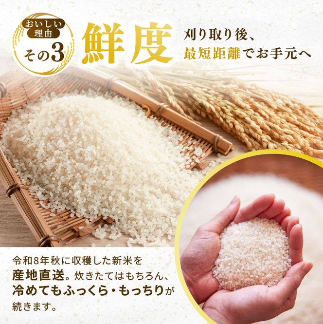 ひとめぼれ 定期便12回/5kg×1袋 令和8年産 新米 先行予約 宮城県産 米 精米 白米