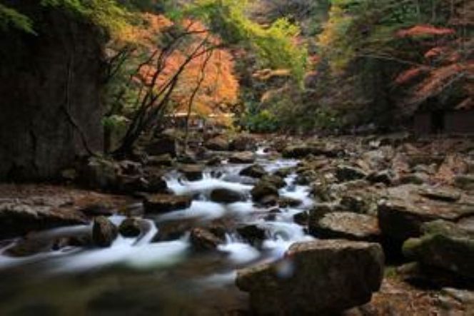 招待券 赤目四十八滝 チケット （４名様）三重県 名張市 観光 体験 アクティビティ 自然 滝 渓谷 お出かけ 旅行 アウトドア 散策 自然体験 ハイキング 紅葉 渓流 清流 名所 景勝地