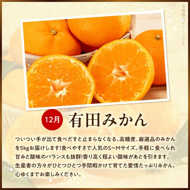 紀州湯浅の恵みめぐり 蔵・海・山の特撰定期便（全3回） _YAS60-T04
