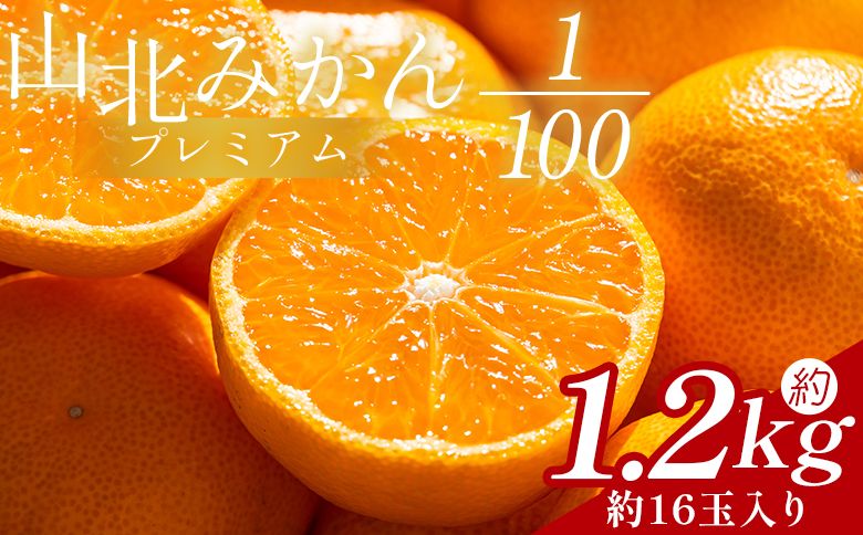 山北プレミアムみかん 1/100(サイズ:S) 1.2kg 約16玉入り - 国産 柑橘 柑橘類 果実 果物 フルーツ 青果 温州みかん みかん 蜜柑 ミカン 高知県 香南市 常温 yk-0056