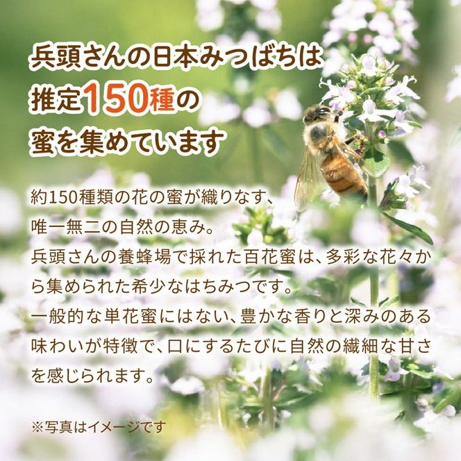 兵頭さん家の国産はちみつ 1瓶（240g 180cc） ｜ 国産 百花蜜 蜂蜜 ハチミツ 深山ミツバチ 研究25年 日本ミツバチ ※離島への配送不可