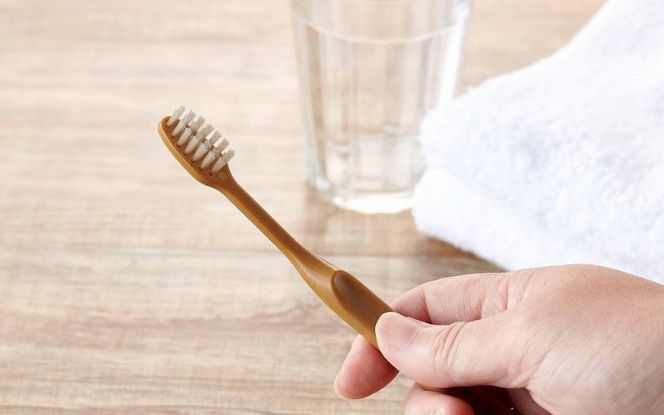 MEGURU 竹の歯ブラシ ひまし樹脂毛 4本セット fain0007