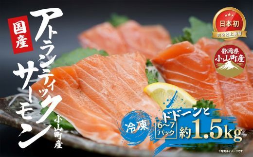 日本初 完全陸上養殖 静岡県小山町産 アトランティックサーモン 冷凍 6〜7P 約1.5k