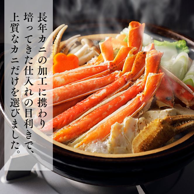 ボイル 本ずわいがに 2肩 500g × 1 カジマ ずわい蟹 ズワイガニ ずわいがに かに カニ 蟹