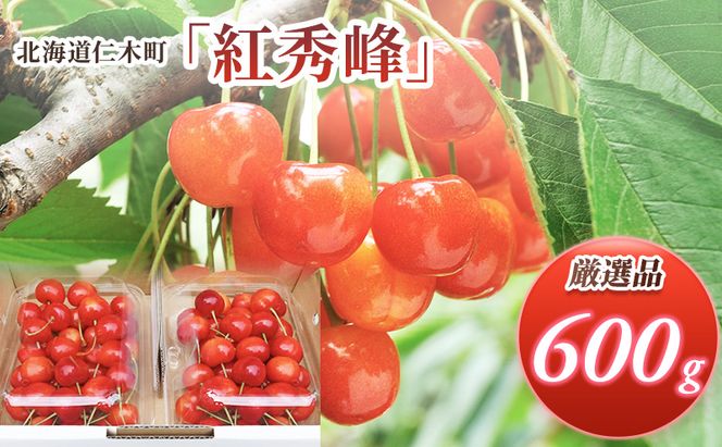 先行受付 北海道 仁木町産  さくらんぼ 紅秀峰 600g(300g×2パック) Lサイズ以上  旬 桜桃 産地直送 サクランボ チェリー フルーツ 果物 果物類  仁木町 仁木 [松山商店]